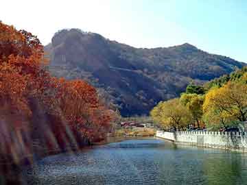 新澳天天开奖资料大全旅游团，昌江黎族自治seo营销